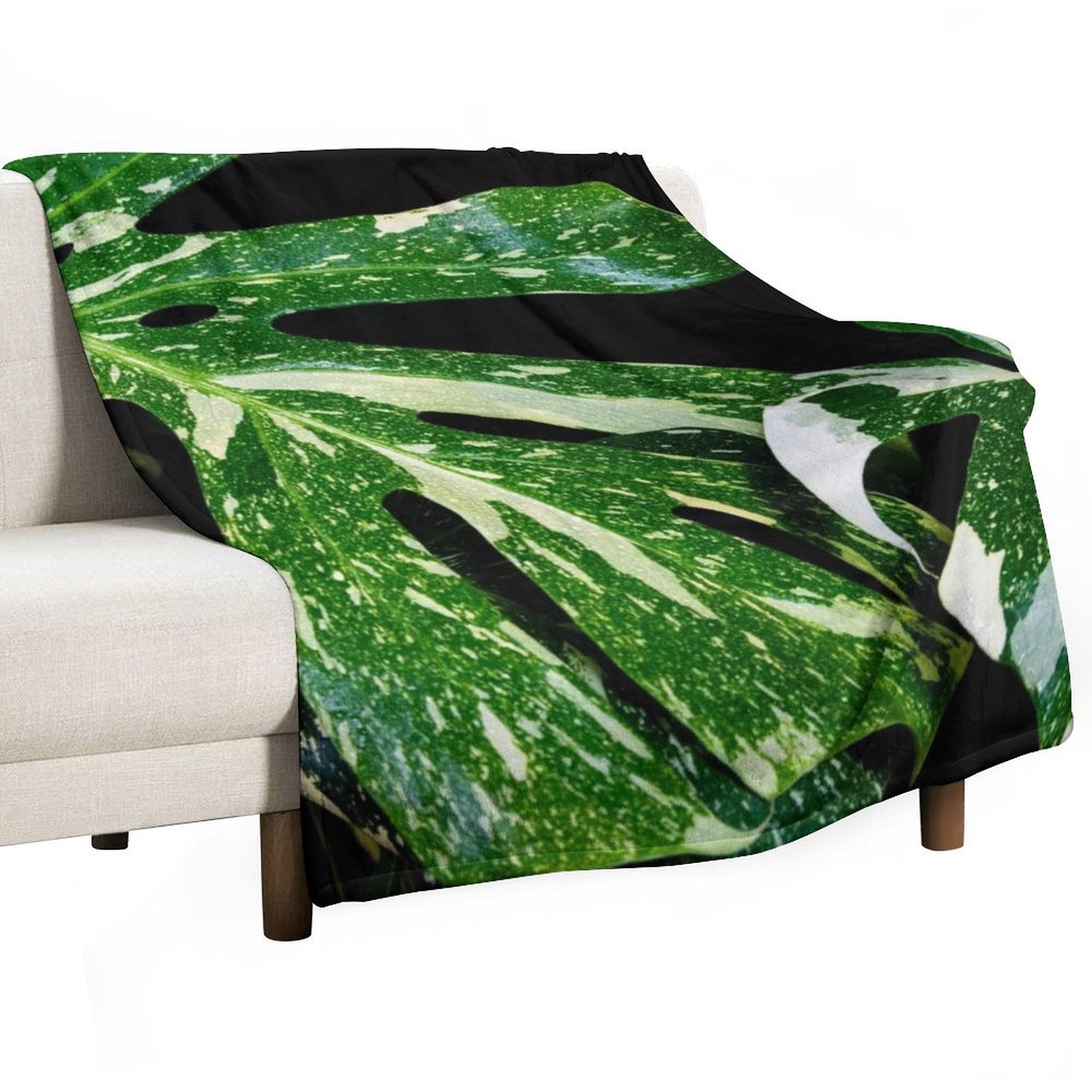 Monstera Thai Constellation - Manta Monstera Thai Constellation, Macia, de