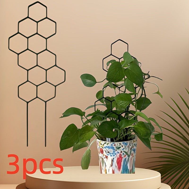 Monstera Thai Constellation - 3 pçs quadro de suporte de
