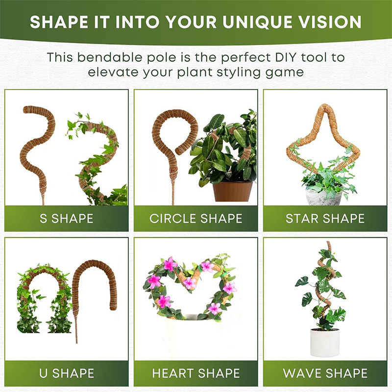 Suporte Flexível para Plantas  - Monstera Thai Constellation avaliação e preço