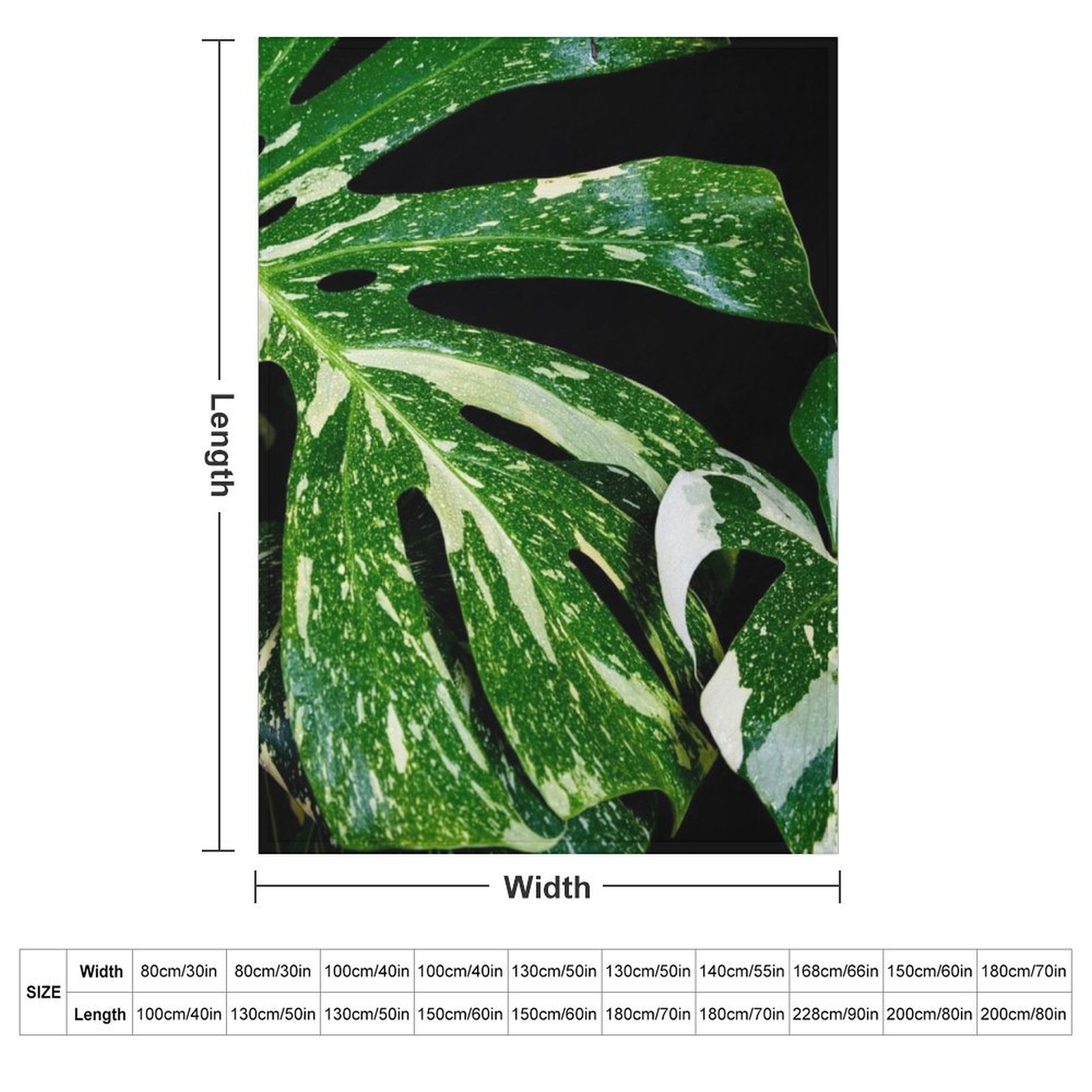 Manta Monstera Thai Constellat - Monstera Thai Constellation avaliação e preço