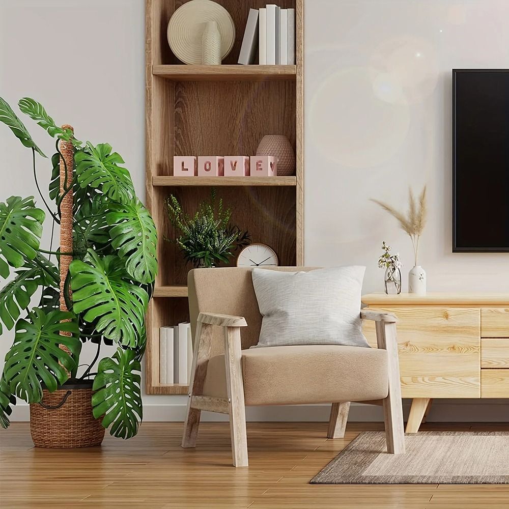 1 pçs casca de coco musgo palm - Monstera Thai Constellation avaliação e preço