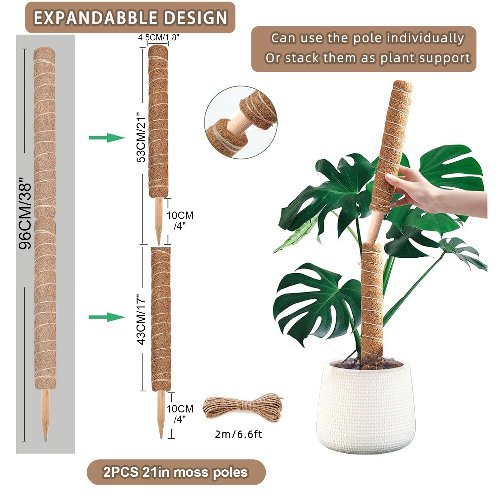 Pólo de musgo 38/43/53cm, supo - Monstera Thai Constellation avaliação e preço