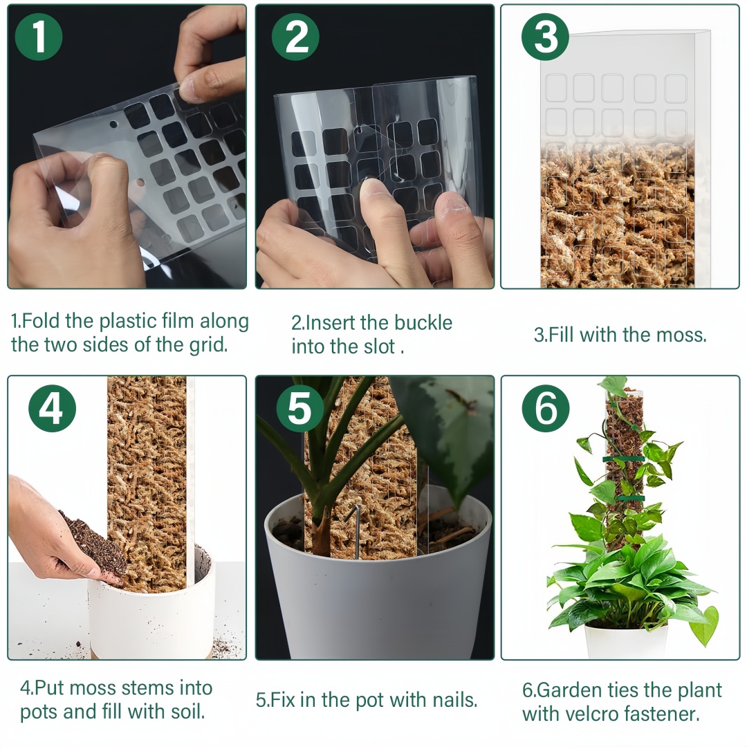 Pólo de musgo plástico planta  - Monstera Thai Constellation avaliação e preço
