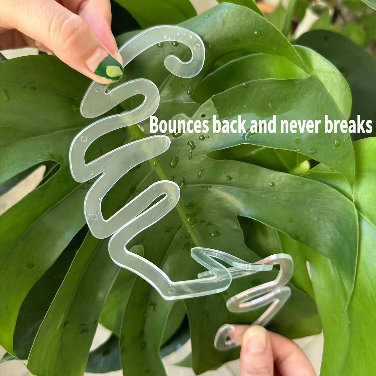 Clipes de Suporte Flexíveis de - Variegated Monstera Node avaliação e preço