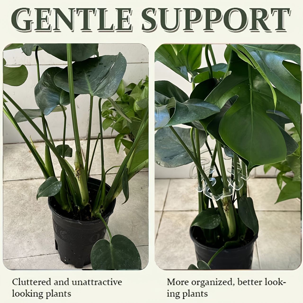 Clipes de Suporte Flexíveis de - Variegated Monstera Node avaliação e preço