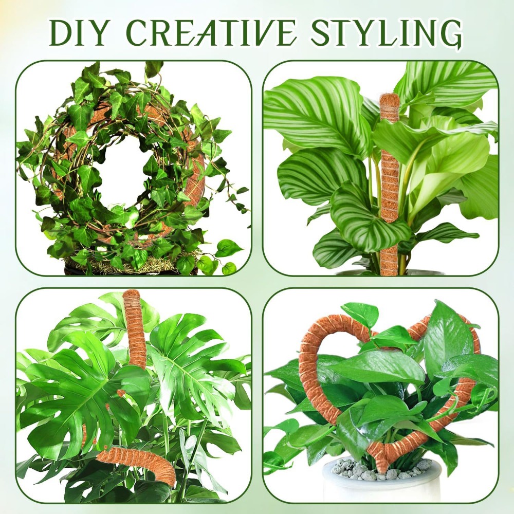30-100cm plantas dobráveis sup - Monstera Thai Constellation avaliação e preço