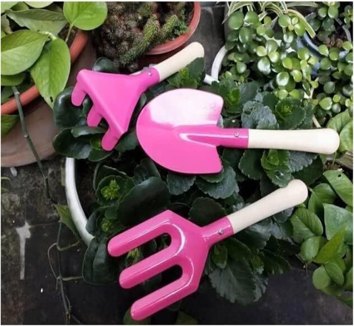 Conjunto de Ferramentas de Jar - Plant Parent Gift Set avaliação e preço