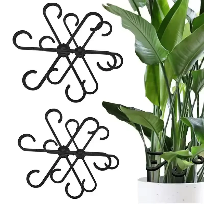 Suporte para Folhas de Alocasi - Variegated Monstera Node avaliação e preço