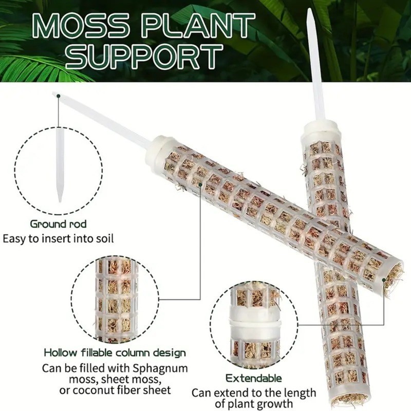 1/2/3 Peças Coluna de Musgo Au - Monstera Thai Constellation avaliação e preço