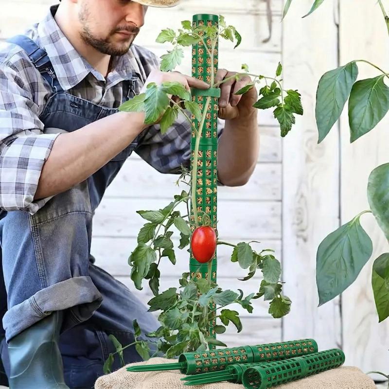 Suporte para Plantas Trepadeir - Monstera Thai Constellation avaliação e preço