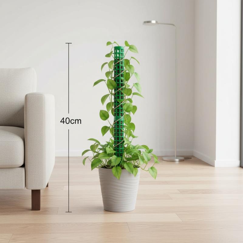 Suporte para Plantas Trepadeir - Monstera Thai Constellation avaliação e preço