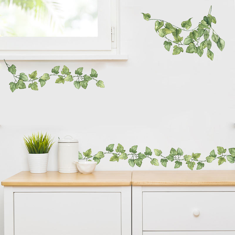 1 pçs pequenas folhas verdes f - Monstera Thai Constellation avaliação e preço