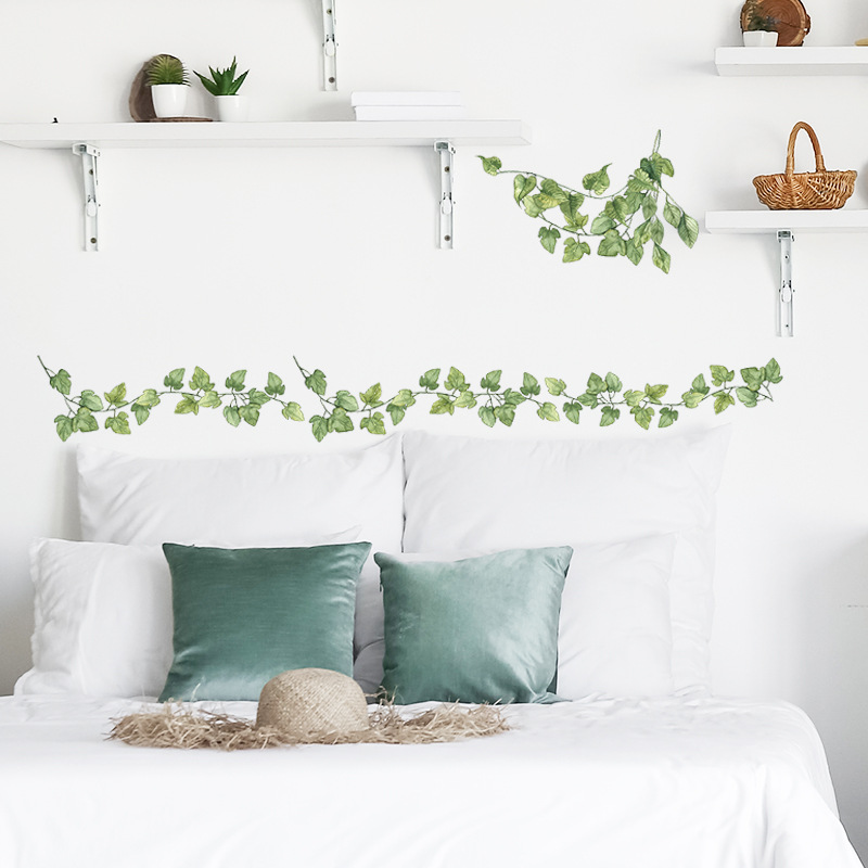 1 pçs pequenas folhas verdes f - Monstera Thai Constellation avaliação e preço