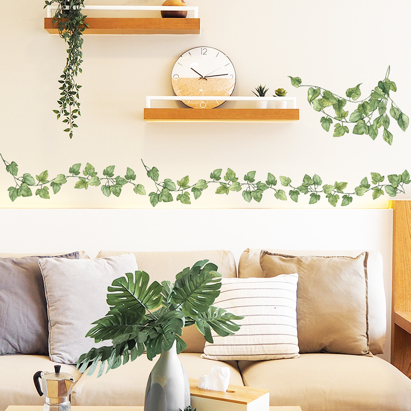 1 pçs pequenas folhas verdes f - Monstera Thai Constellation avaliação e preço