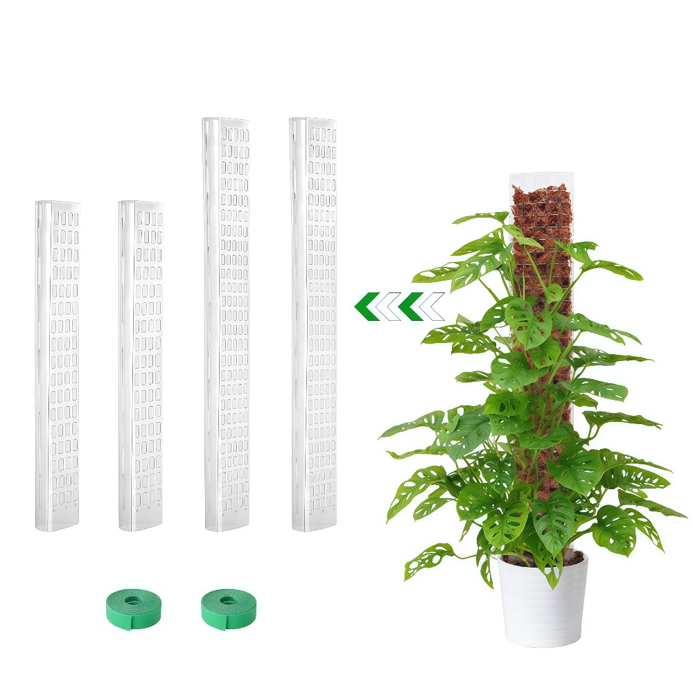Suporte de Plástico para Plant - Monstera Thai Constellation avaliação e preço