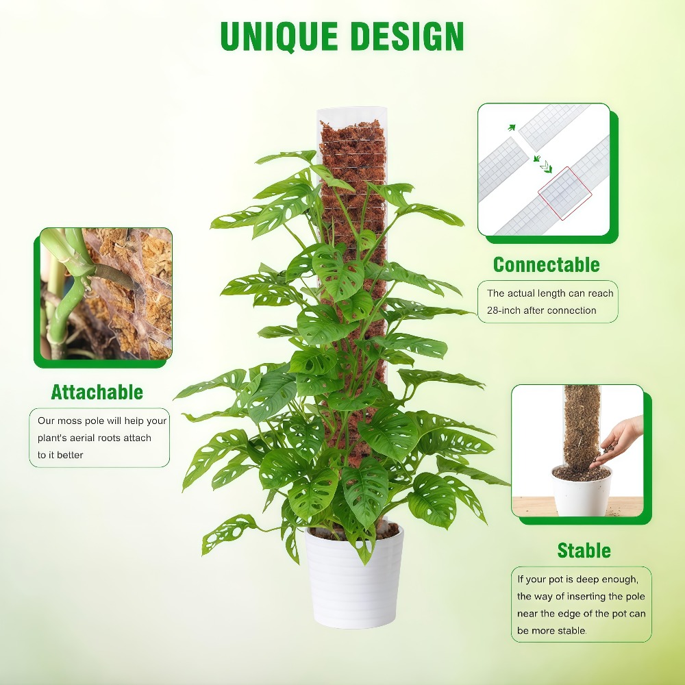 Suporte de Plástico para Plant - Monstera Thai Constellation avaliação e preço